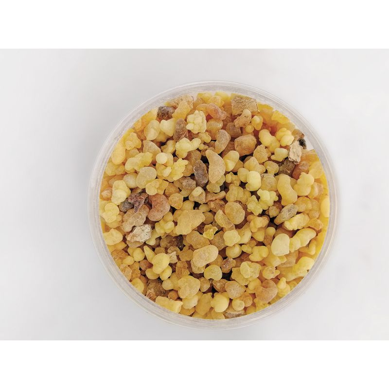 Kadzidło naturalne olibanum - Pea Size 100 g - KADZIDŁA, WĘGIELKI - Kadzidło naturalne olibanum - Pea Size 100 g