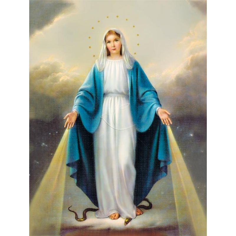 Obraz 30x40 - Matka Boża Niepokalana - OBRAZY RELIGIJNE - Obraz 30x40 - Matka Boża Niepokalana
