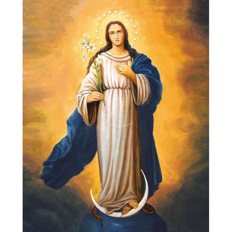 Obrazek 20x25 - Matka Boża Niepokalana (2) - OBRAZY RELIGIJNE - Obrazek 20x25 - Matka Boża Niepokalana (2)
