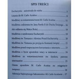 Modlitwy Pełne Ducha - Modlitwy do bł. Carlo Acutisa - MODLITEWNIKI - zdjęcie 2 - Modlitwy Pełne Ducha - Modlitwy do bł. Carlo Acutisa
