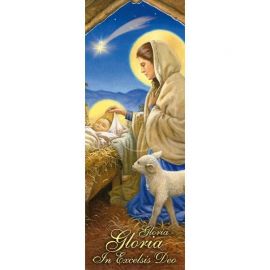 Baner Bożonarodzeniowy - Gloria Gloria in excelsis Deo (8) - Boże Narodzenie