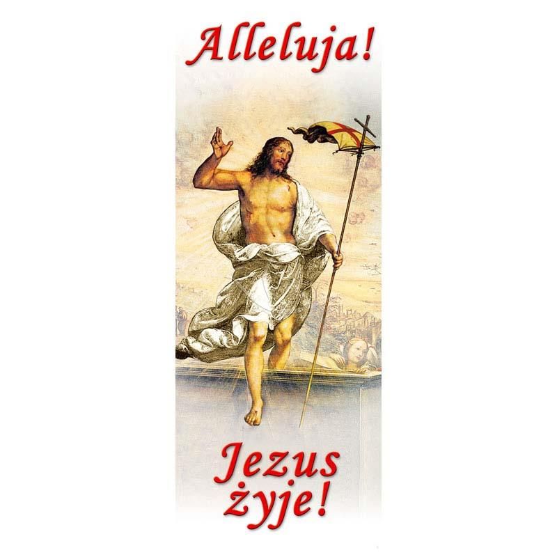 Baner Wielkanocny (2) - WIELKANOC - Baner Wielkanocny (2)