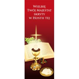 Baner Boże Ciało (45) - Banery Boże Ciało